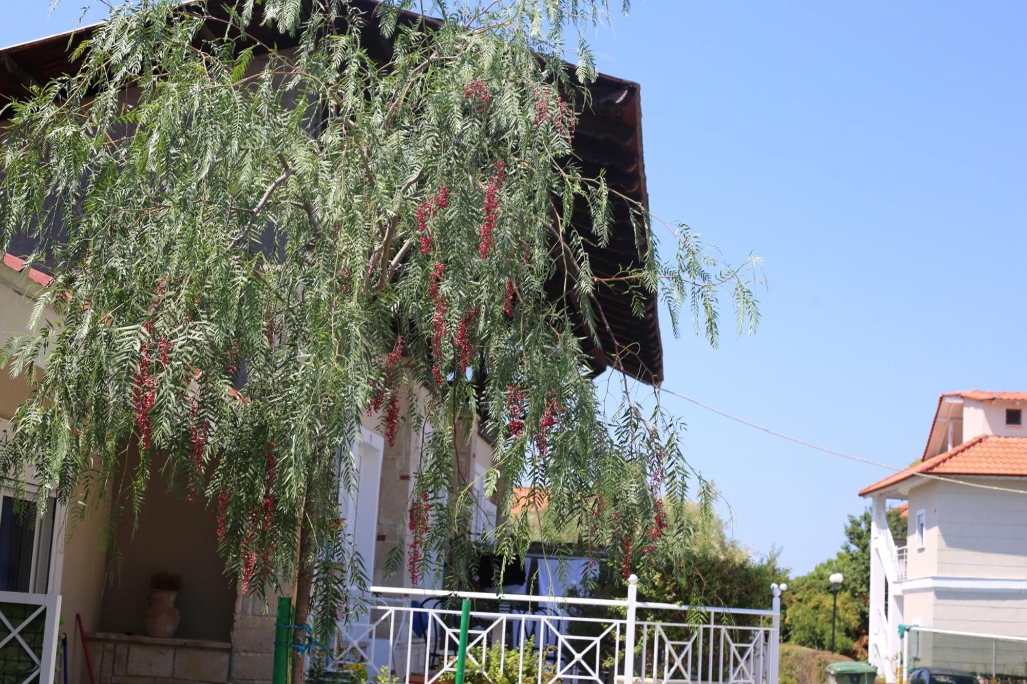 Golden Residence Family Resort Pefkochori Exterior foto